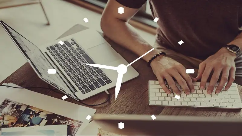 Ways to Use Uhoebeans Software