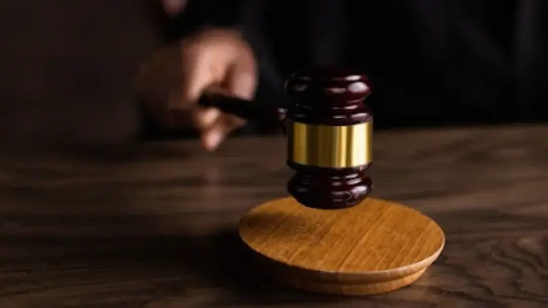 roarcultable latest crypto trends from riproar